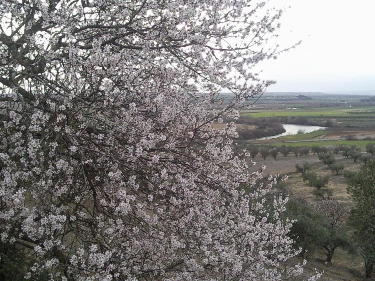 Posada La Reja Malpica de Tajo Zewnętrze zdjęcie