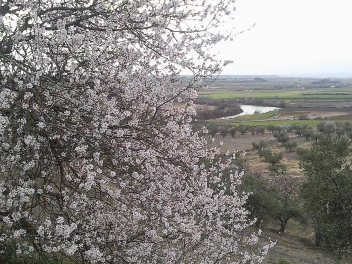 Posada La Reja Malpica de Tajo Zewnętrze zdjęcie
