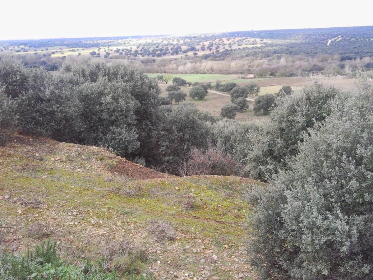 Posada La Reja Malpica de Tajo Zewnętrze zdjęcie