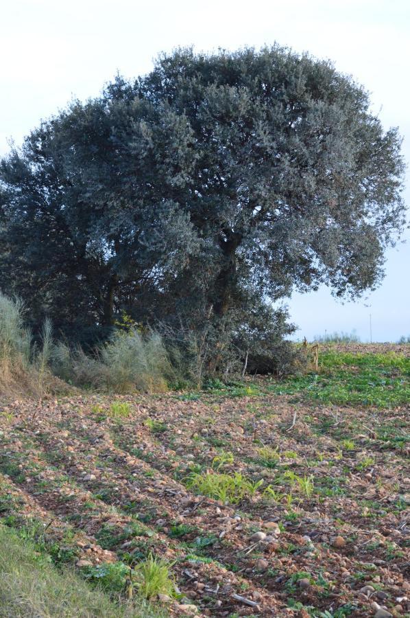 Posada La Reja Malpica de Tajo Zewnętrze zdjęcie