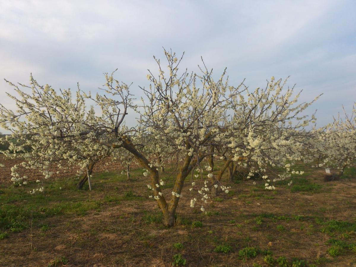 Posada La Reja Malpica de Tajo Zewnętrze zdjęcie